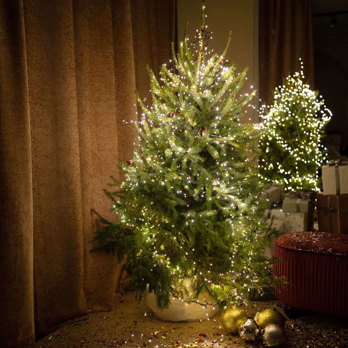 Dr-Christmas-ist-der-Weihnachtsbaum-Dekorateur-der-Stars