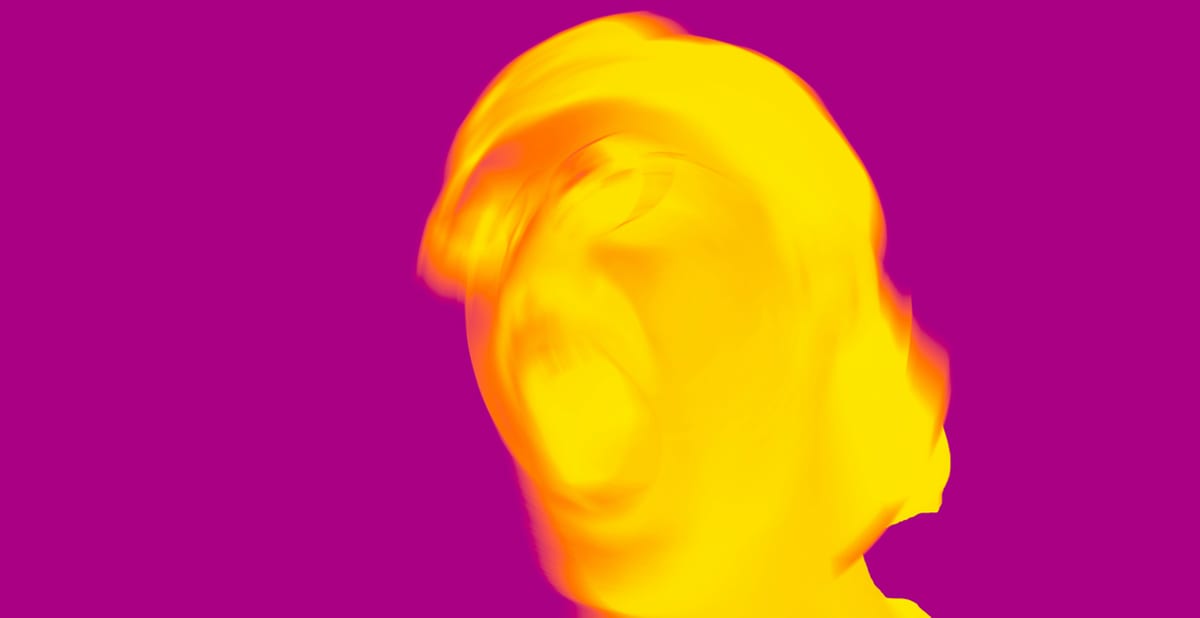 Ein-Jahr-Trump-So-lebe-ich-als-Schweizerin-in-den-USA