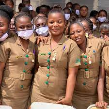 Nursing Assistant preview