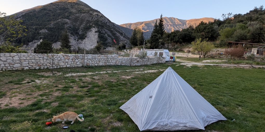 A small tent in an empty grassy lot. Mountains in the background are lit by evening sun and a cat is inspecting camping equipment in the foreground.
