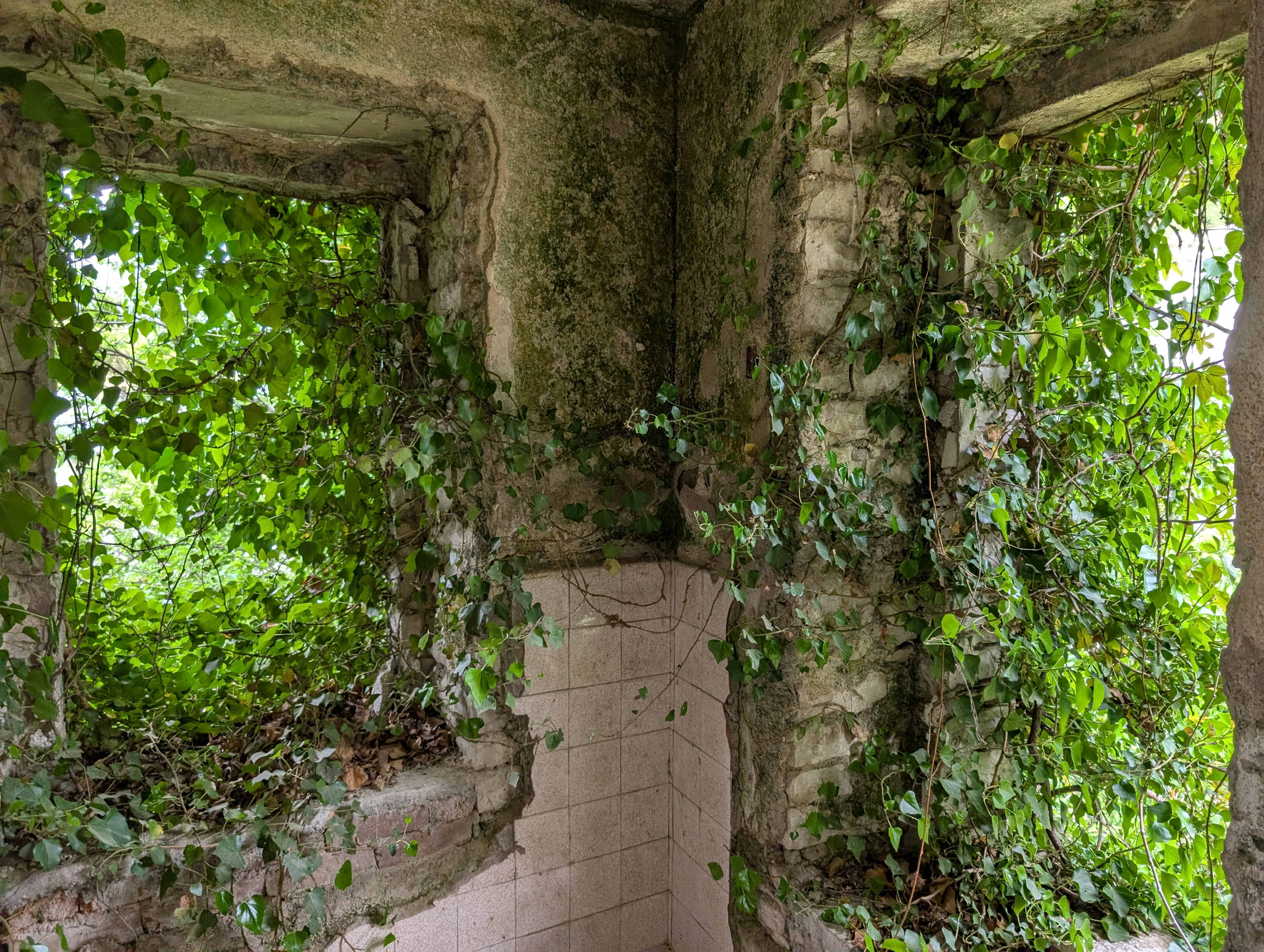 Travel photo