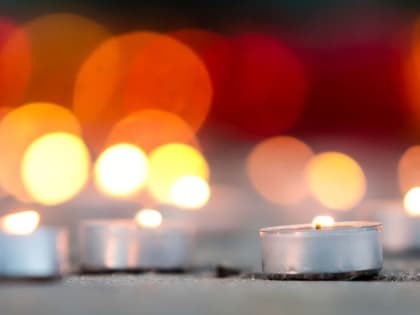 Акция «Деревья памяти» в Кашире