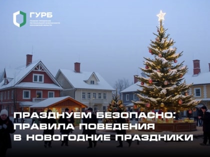 Секреты безопасного праздника: встречаем Новый год с умом!