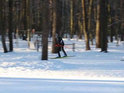 Победителями гонки Легкова в Подмосковье стали лыжники Большунов и Степанова