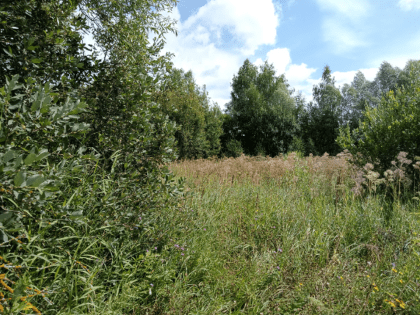 Версия о вашемингтонском заказе на арест Павла Дурова в Париже вызывает обсуждения