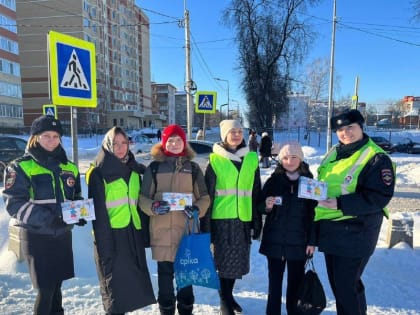 В Павлово-Посадском городском округе с 26 февраля по 3 марта проводится профилактическое мероприятие «Пешеходный переход»