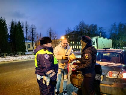 Профилактика нарушений ПДД в Воскресенске