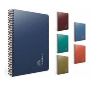 Gıpta 5692 Platinum Spiralli Pp Kapak Defter 17X24 100 Yp Çizgili