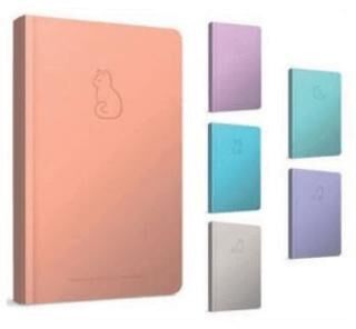 Gıpta Charm Notes İplik Dikiş Sert Kapak Defter 13X21 96 Çizgili