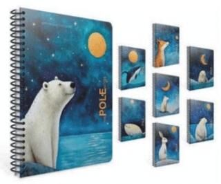 Gıpta Pole Notes Spiralli Pp Kapak Defter 17X24 80 Çizgili