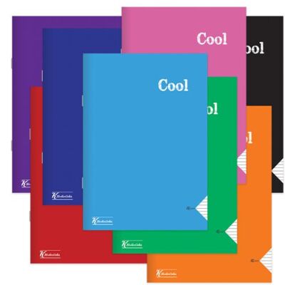 Cool Kareli A4 40 Yaprak Plastik Kapak Dikişli Defter Keskin Color