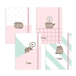 Keskin Color Pusheen A5 80 Yaprak Çizgili Sert Kapak Ciltli Defter