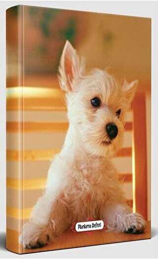 Pamuk Seker - Süresiz Planlama Defteri