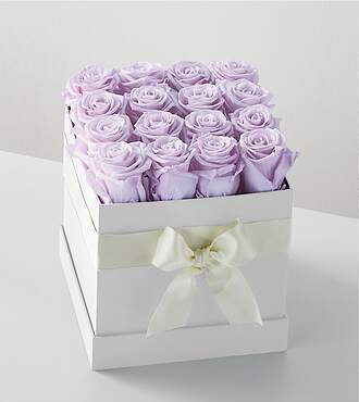Lavender Forever Rose - 16 Preserved Roses - FedEx