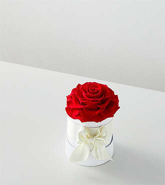 Red Forever Rose - FedEx