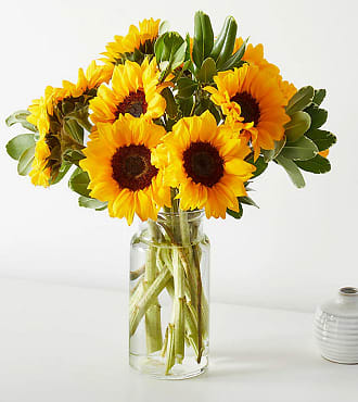 XXX Honey Bee Sunflower Bouquet - FedEx