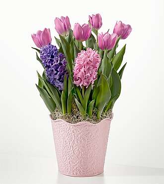 Let Your Love Grow Bulb Garden - FedEx