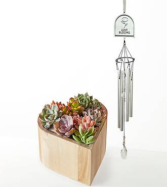 My Heart Succulent Garden and Love Blooms Windchime Gift Set - FedEx