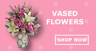 Vased Flowers