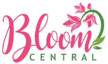 Bloom Central Floral Delivery