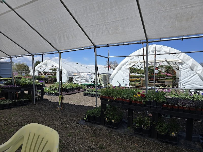 Lyn's Flowers and Garden - florist