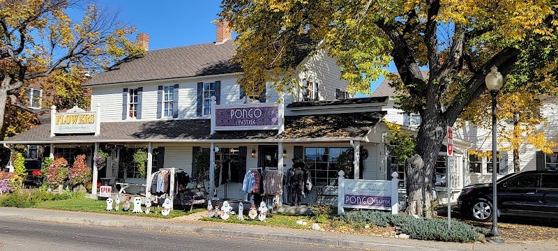 Littleton Flower Shop - florist