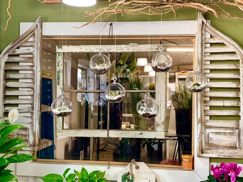 the petal pusher flower shop - florist