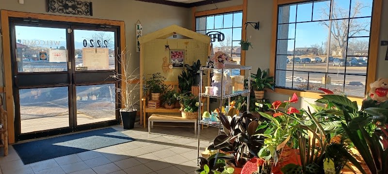 Brighton Florist - florist