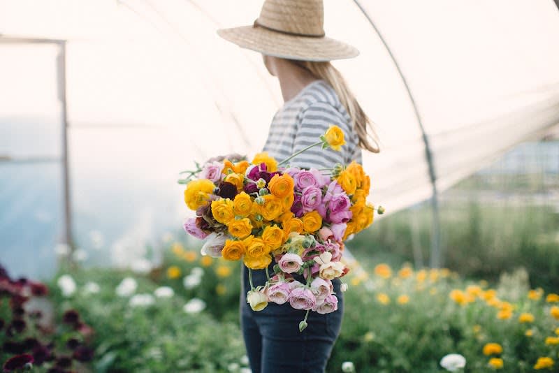 Little Hollow Flowers - florist