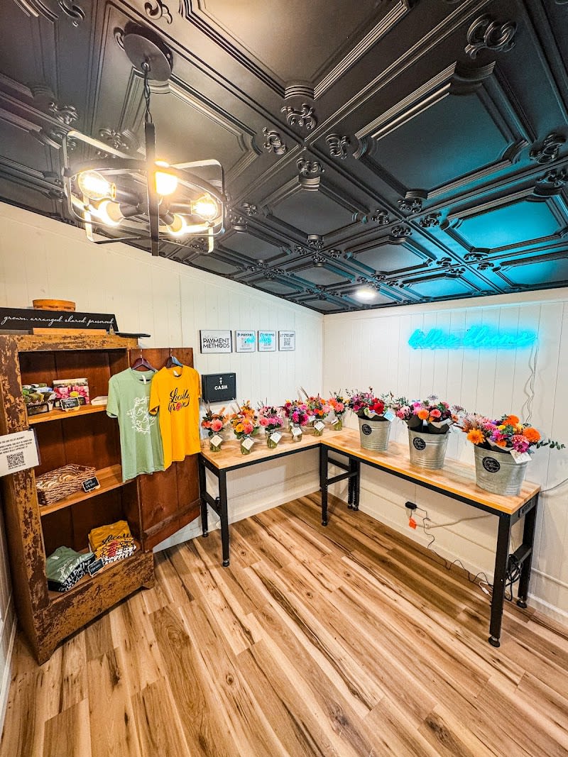Bella's Blooms Flower Co. - florist