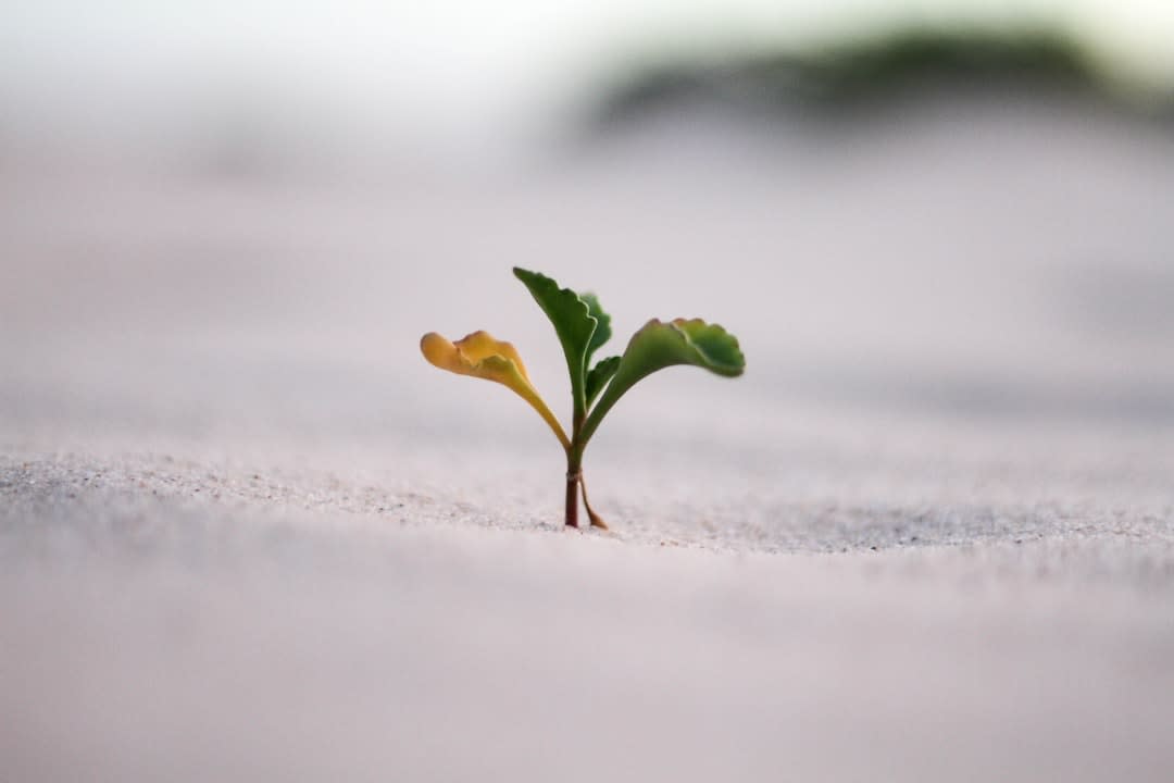 Visual representation of growth and learning