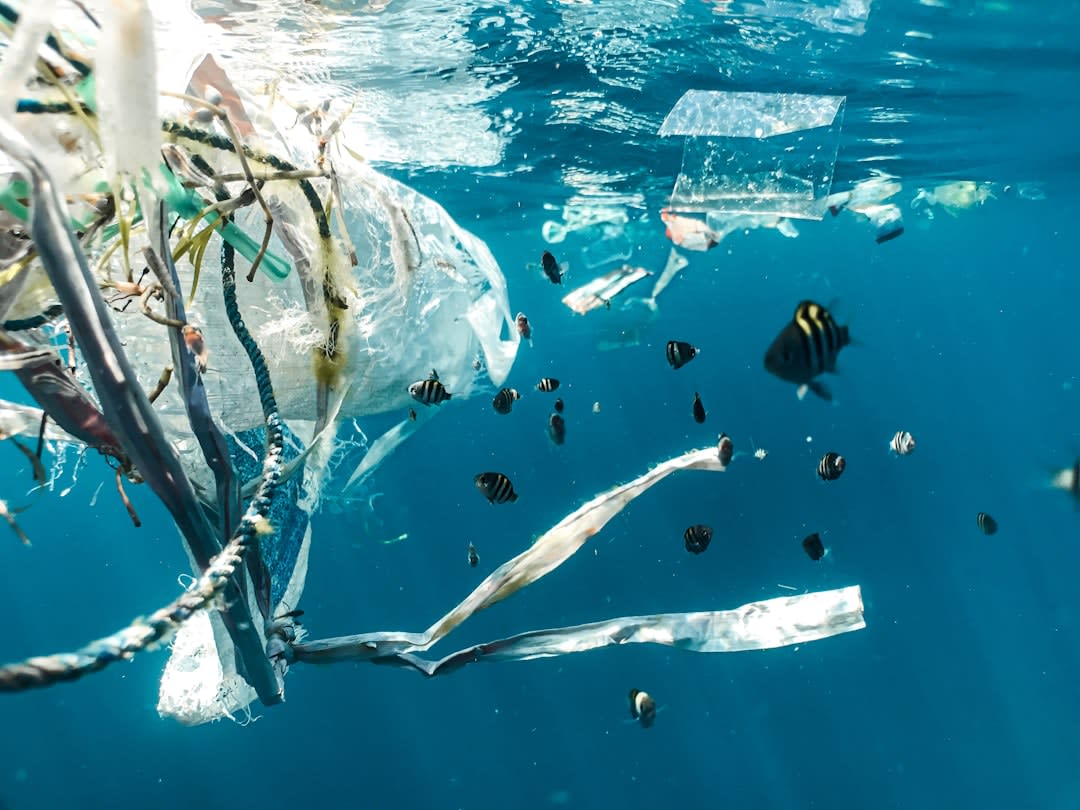 Aerial view of polluted ocean waters highlighting causes of underwater oxygen loss.