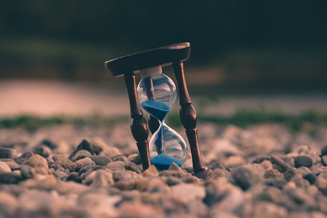 Calendar and planner for job search scheduling