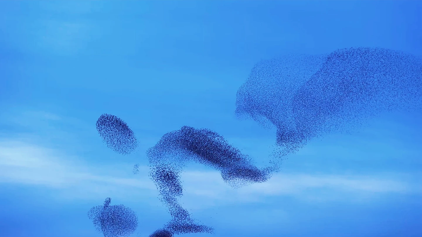 ATOS GROUP - Accelerating intelligence : Le film manifeste