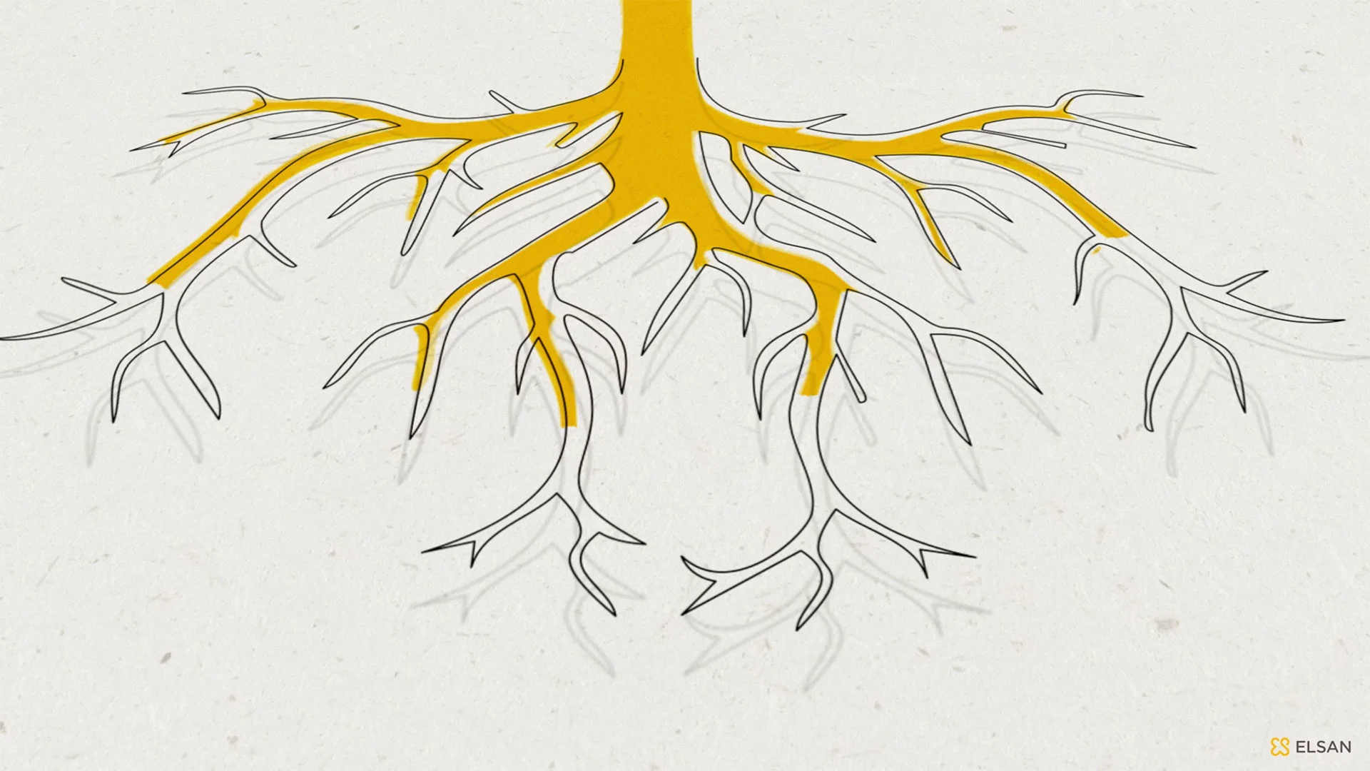 ELSAN - Vidéo en motion design pour les célébrer l'anniversaire du Groupe