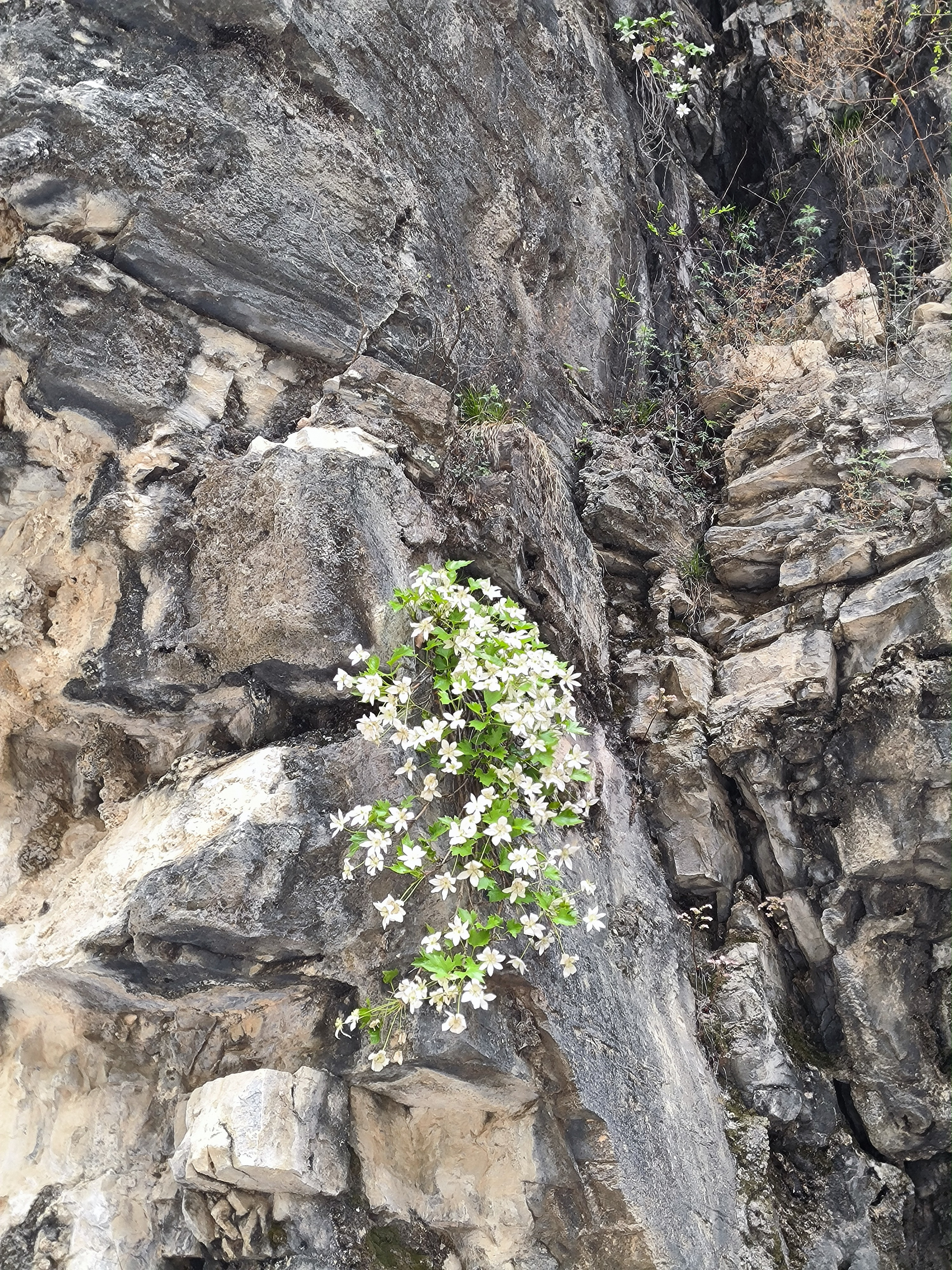 An image to describe post