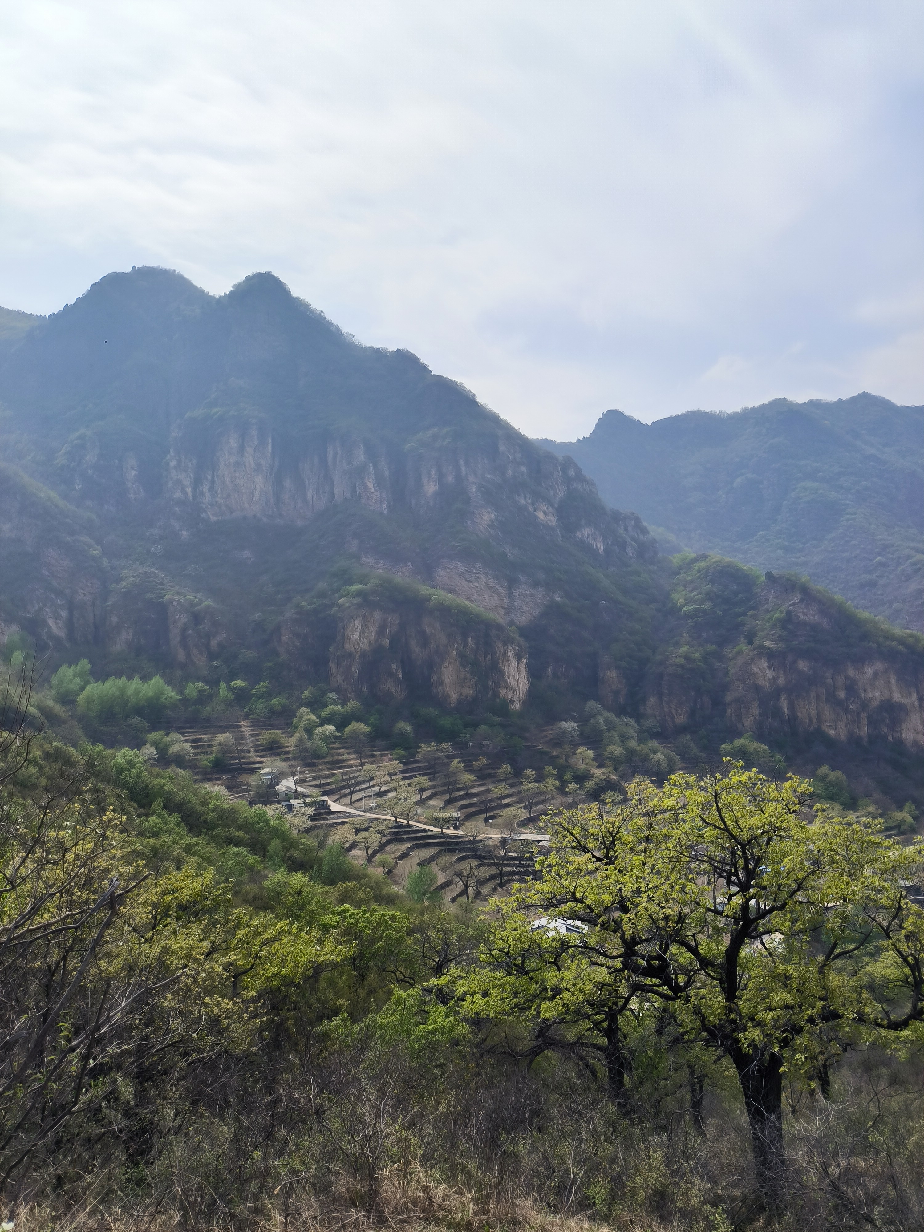 An image to describe post