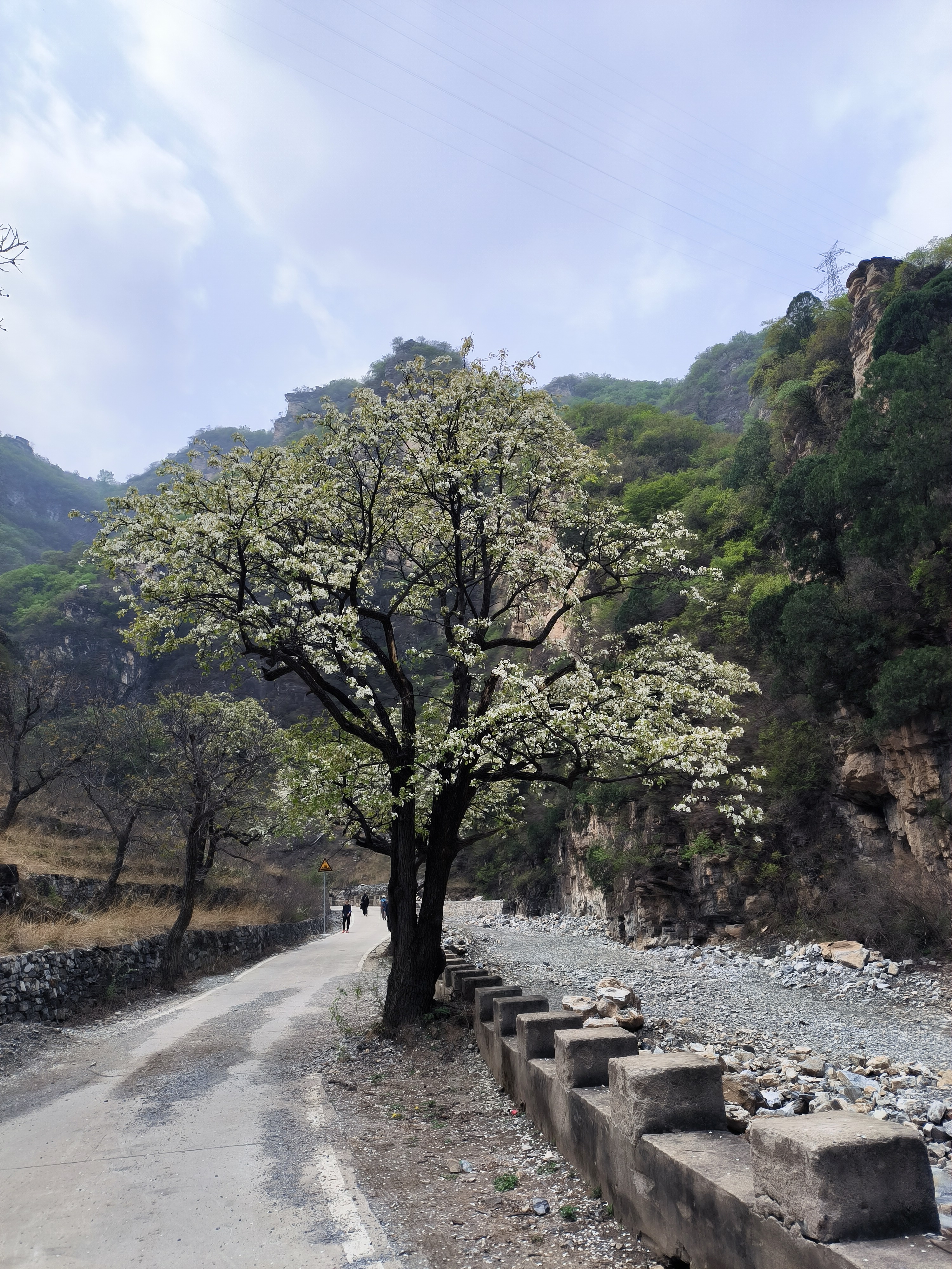 An image to describe post