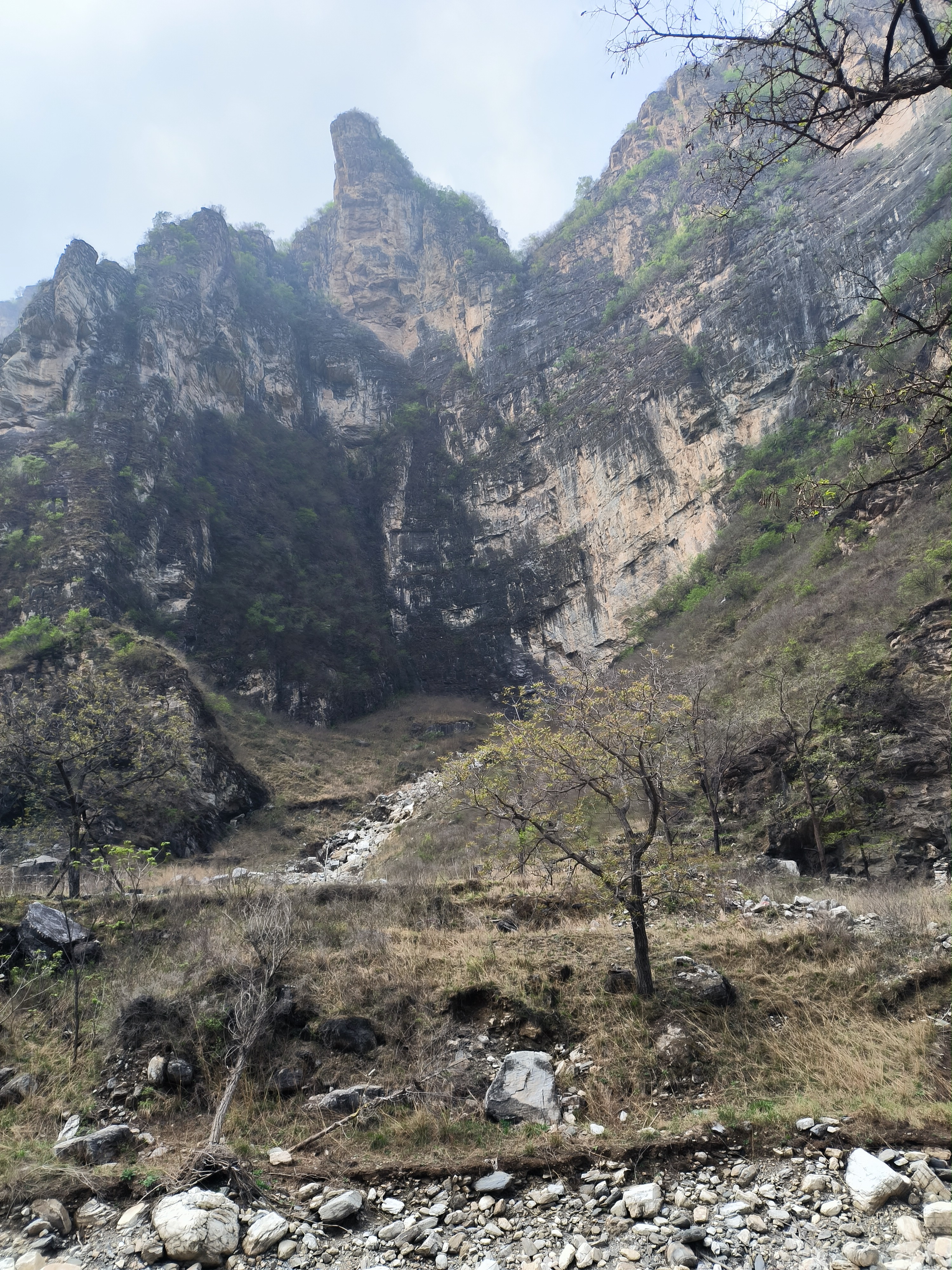 An image to describe post