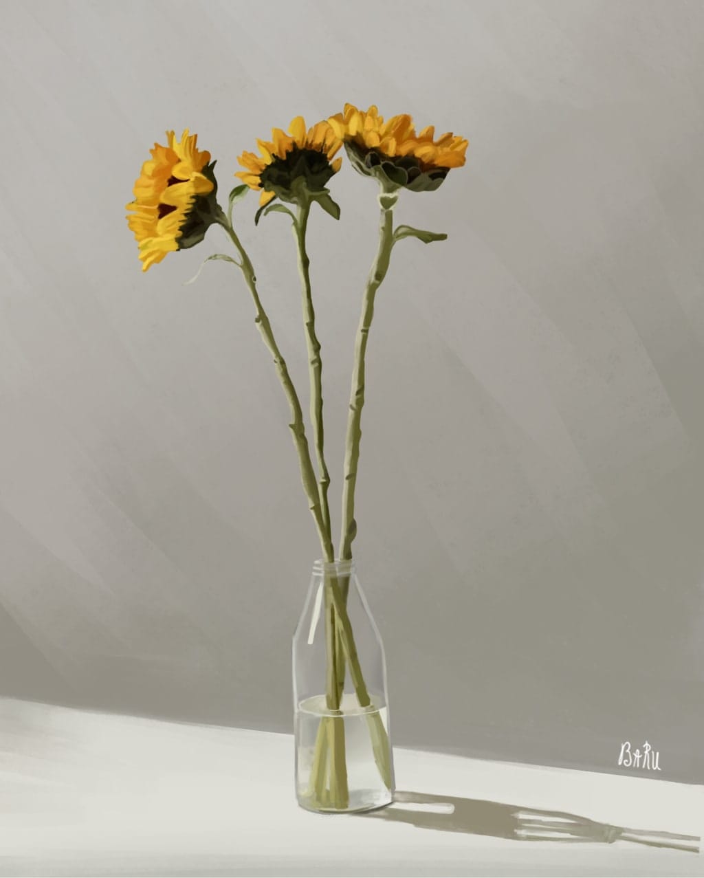 მზესუმზირა