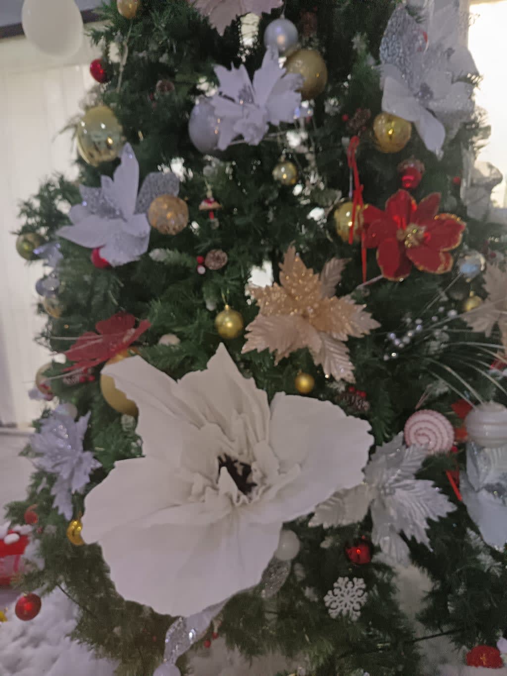 Სადღესასწაულო ყვავილები