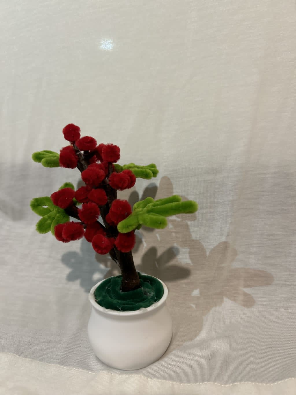 დეკორატიული წითელი კენკრა