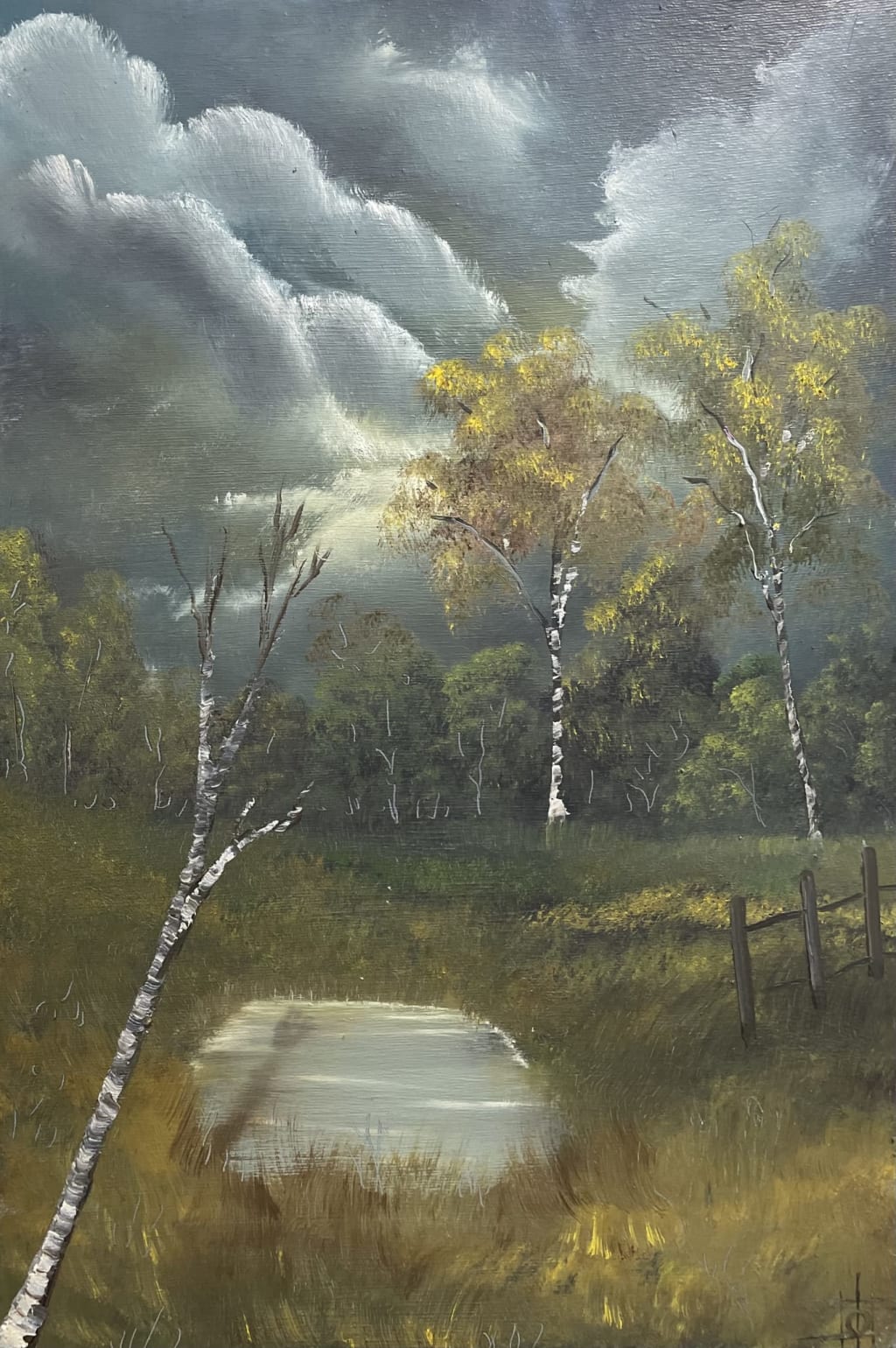 ბინდის მინდორი