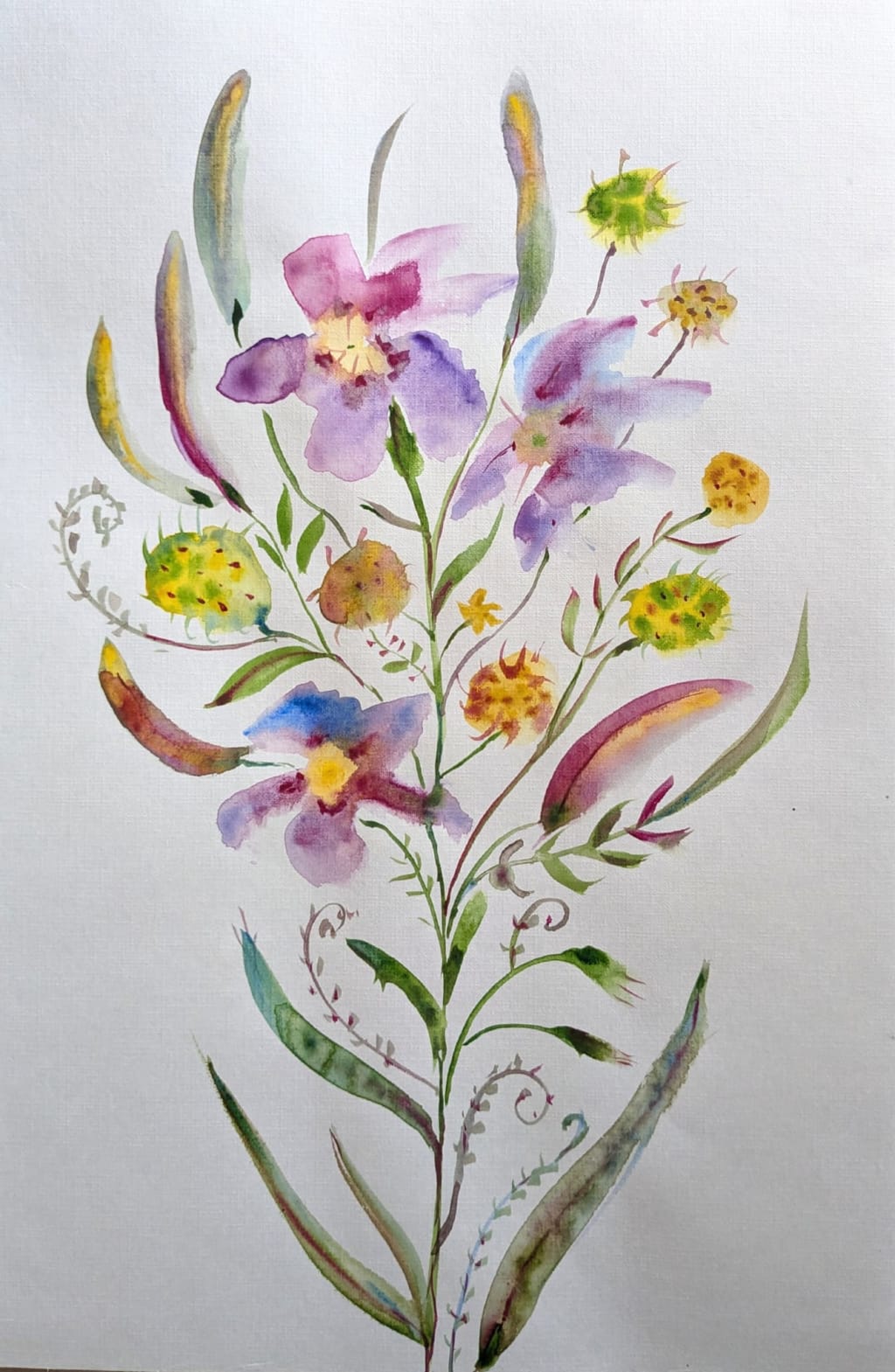 ცოცხალი ყვავილები