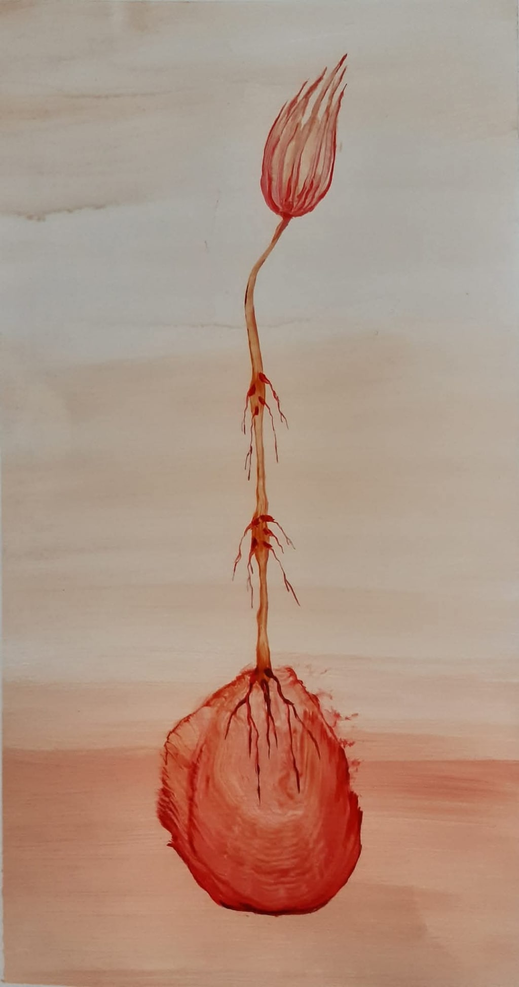 სერიიდან: ცოცხალი ყვავილები