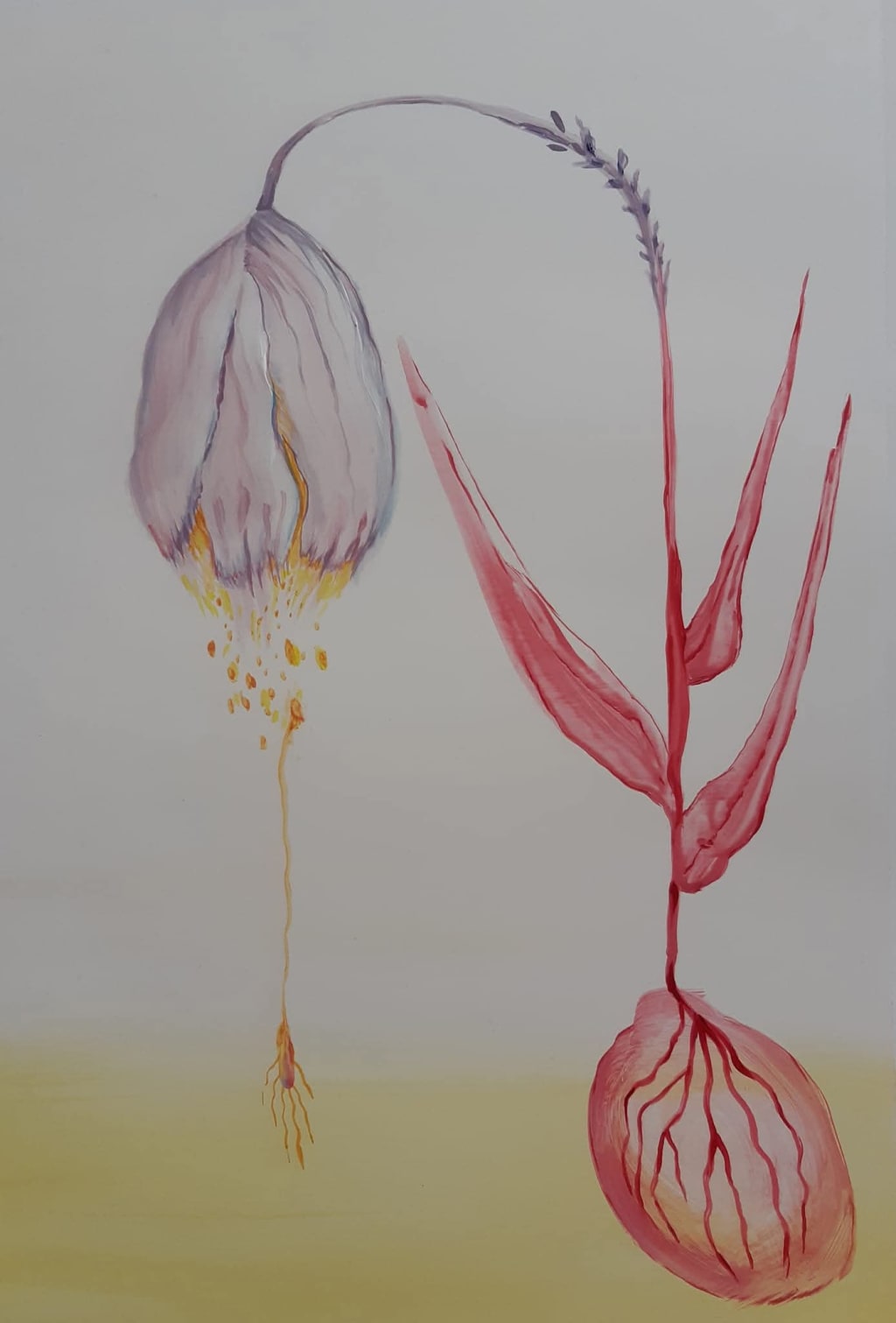 სერიიდან: ცოცხალი ყვავილები