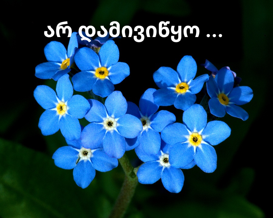 არ დამივიწყო 