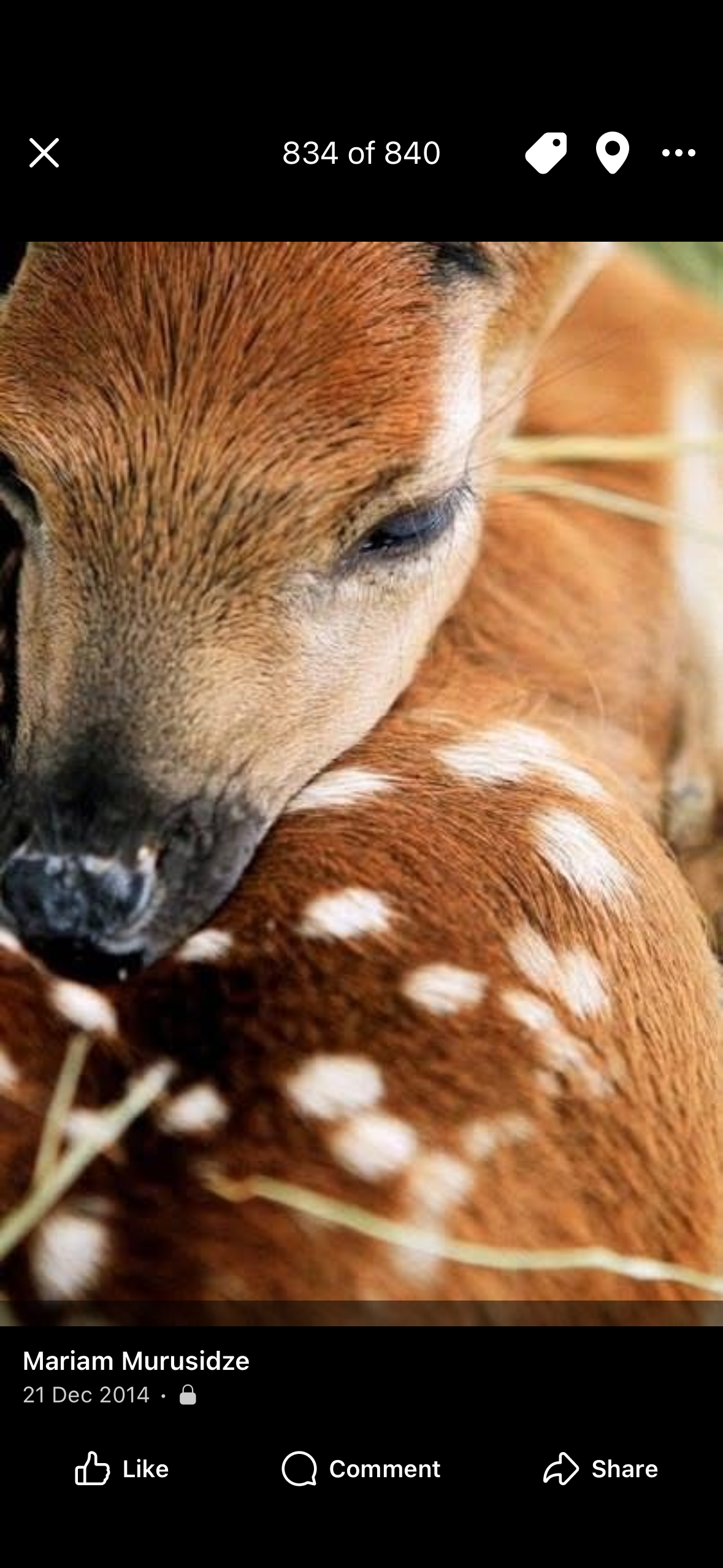 მარიამი