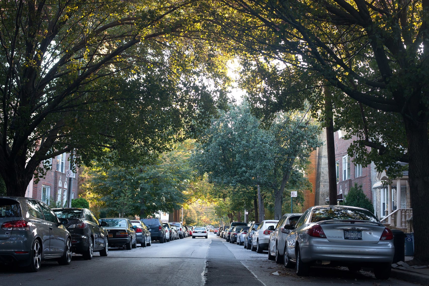 bird removal technician in astoria