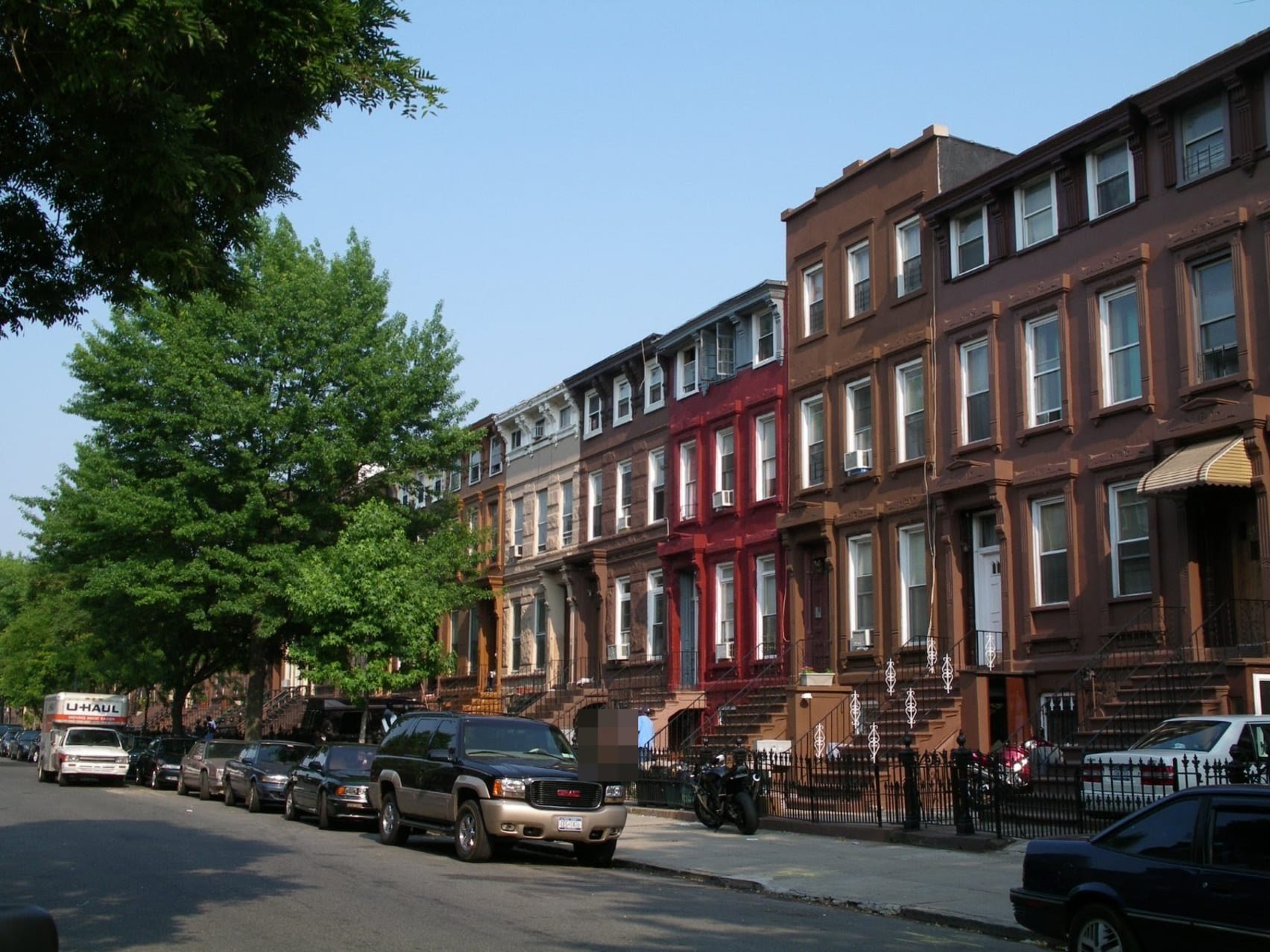 ant exterminator in bedford stuyvesant